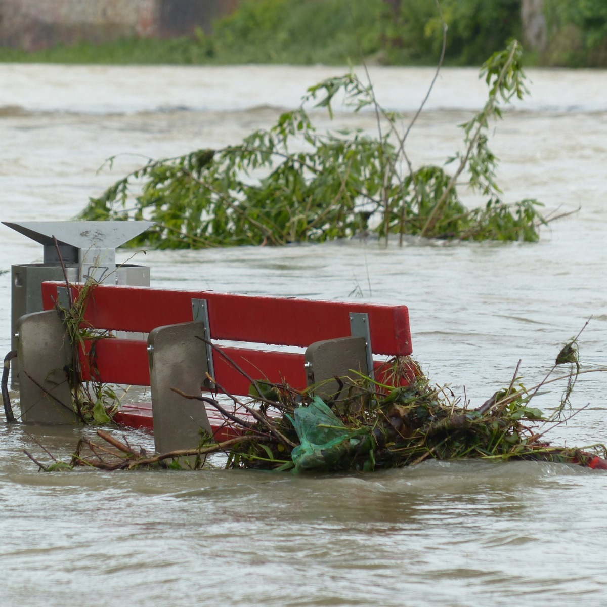 Banjir dan Tanah Longsor di Jayapura, Kantor Gubernur Terkena Dampak